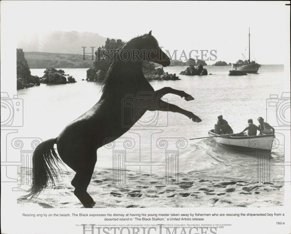 1979 Press Photo Horse Rearing on Beach in 