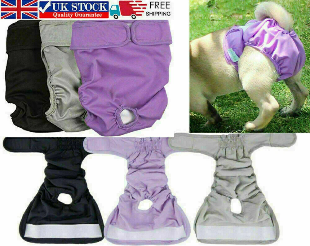 Female dog top in heat pants