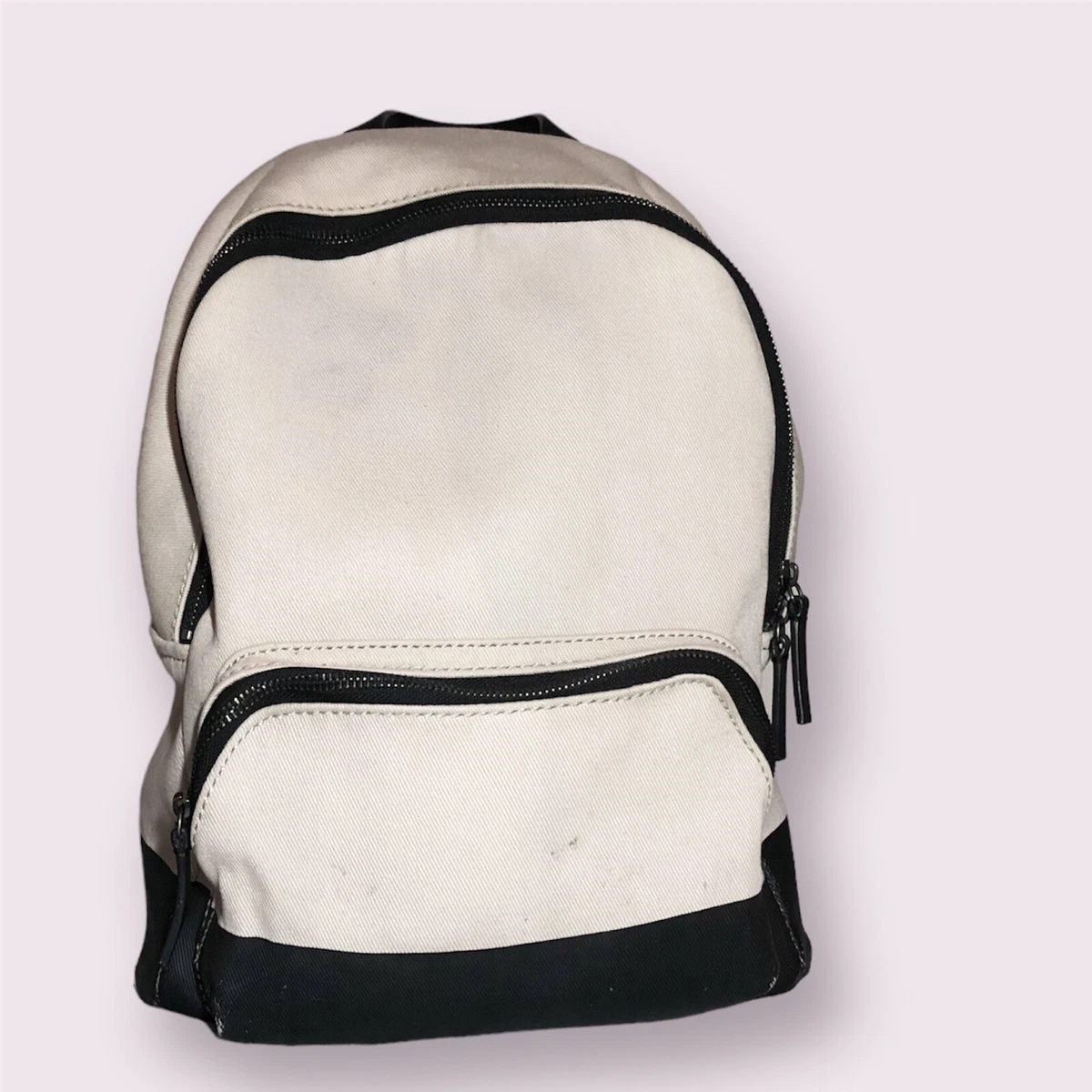 Everlane canvas backpack sales