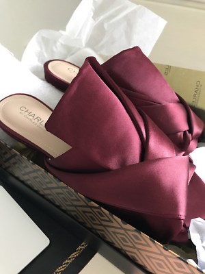 charles david slides
