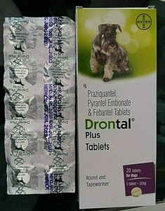 drontal plus ebay