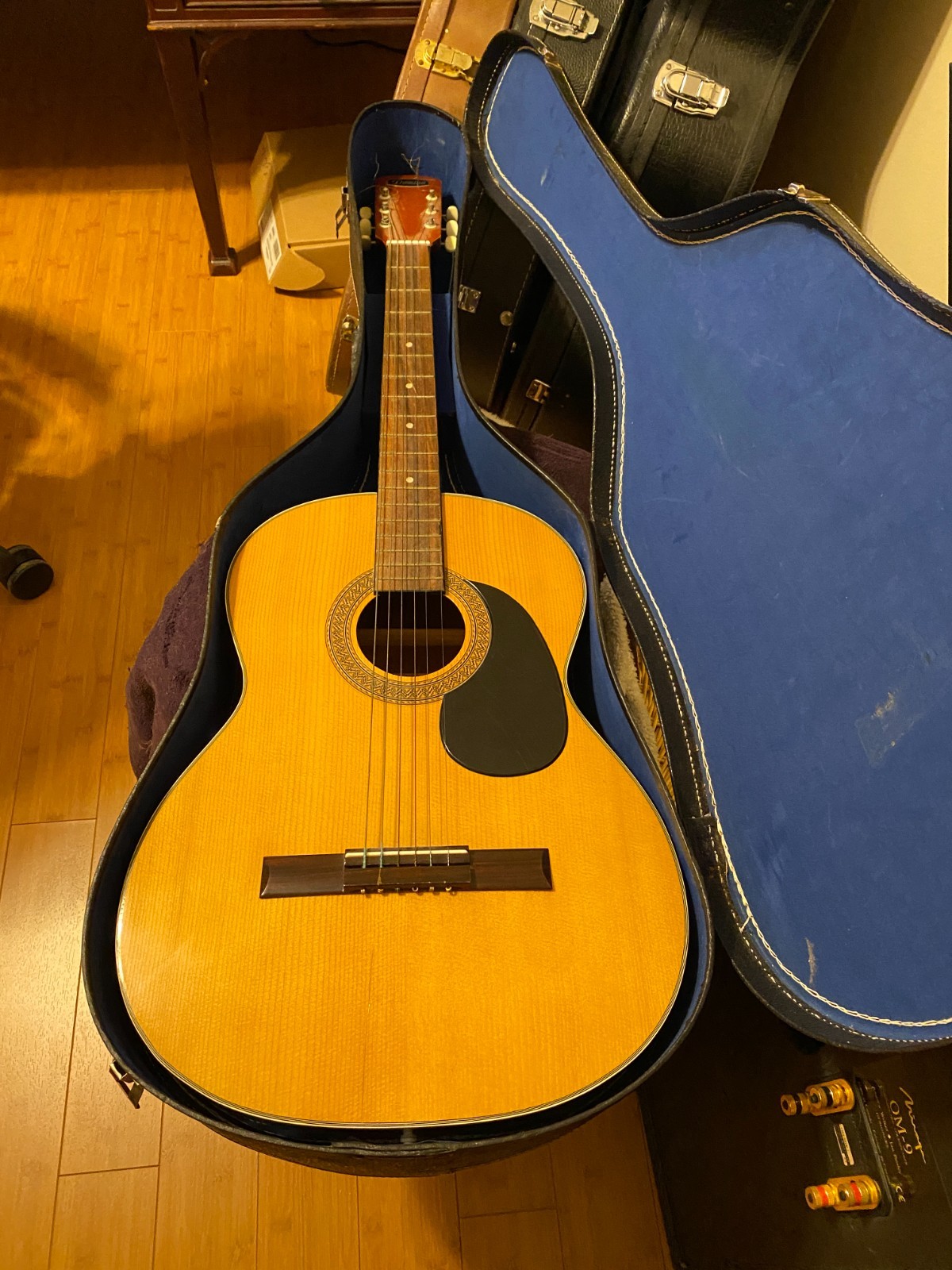 DOMINO C-105 Acoustic Guitar