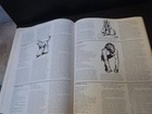 Dragon Magazine #94 February 1985 Creature Catalog II New Ranger Rules TSR AD&D — photo 10
