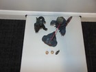 Bild 4 von 15