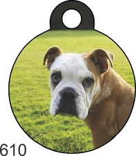 Pet Tag Personalized Pet ID tag for Dog and Cat ROUND Tag Unique cute Pink Heart