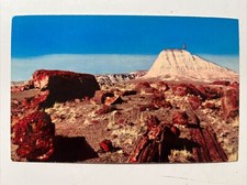 Vintage Postcard, Arizona Petrified Forest National Monument Route 66