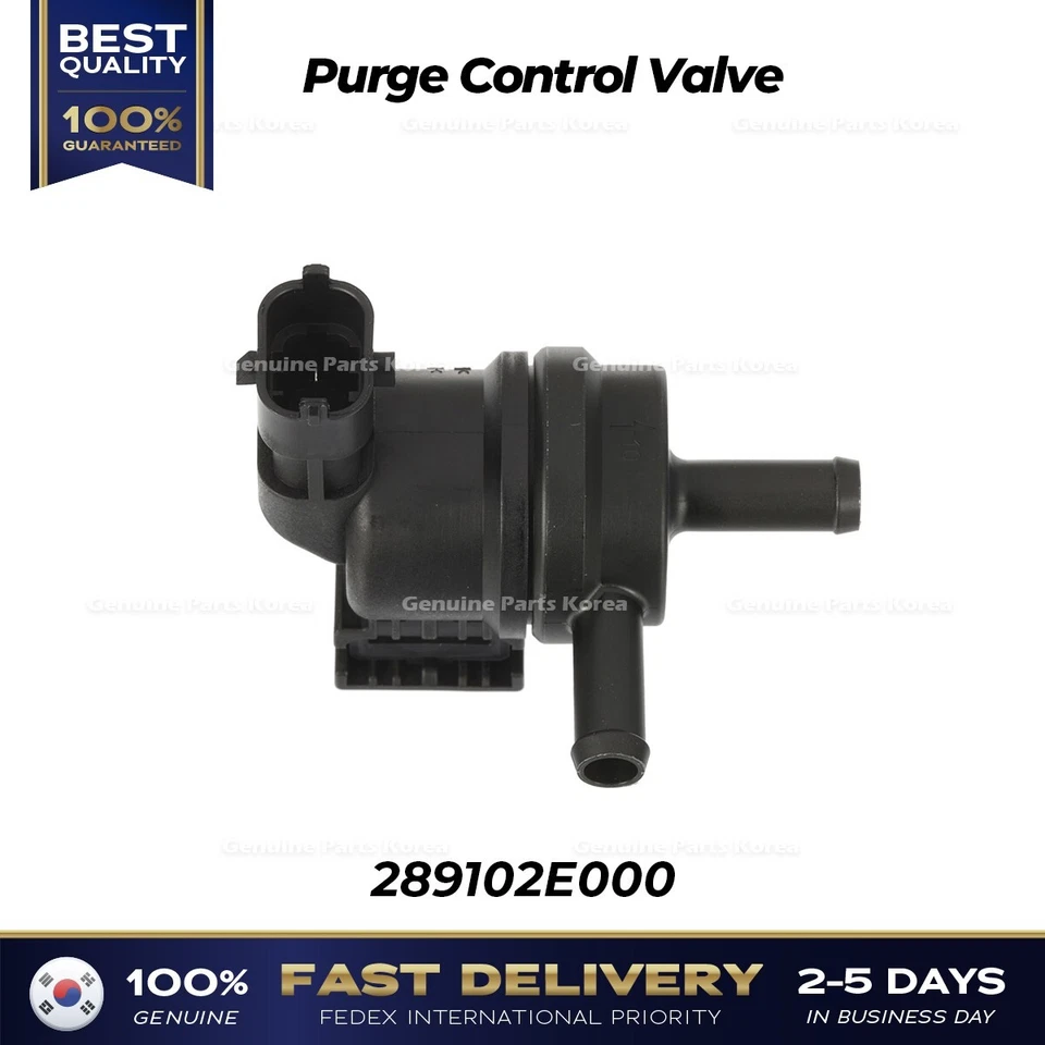 ⭐Genuino⭐ Válvula de control de purga 289102E000 para Hyundai Elantra Kia Forte Foto 2 de 4