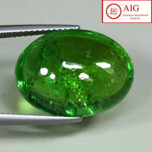 Tourmaline Paraïba Naturelle - 9,10 Carats - Neuf Avec étiquettes - Pierre Brute Du Brésil