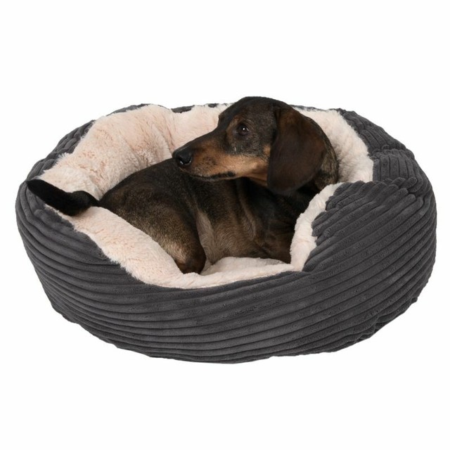 rosewood jumbo cord dog bed