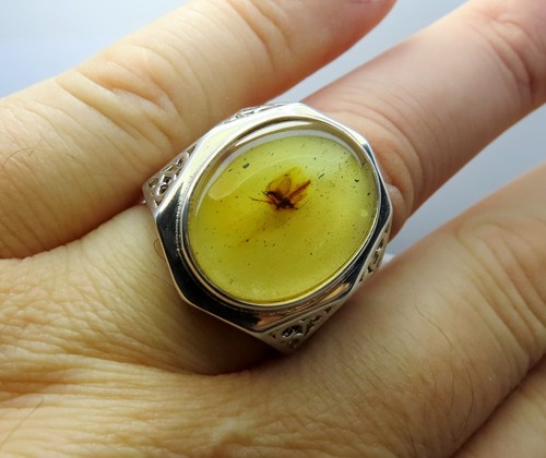 925 Sterling SILVER Mens Big Ring with Fossil Mosquito inclusion in BALTIC AMBER