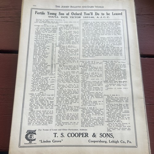 The Jersey Bulletin Dairy World Magazin 10. August 1921 - Abschied Sammlung - Bild 3 von 21