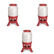 Little Giant 60 Pound Feed Heavy Duty Poultry Chicken Gravity Feeder 3 Pack 