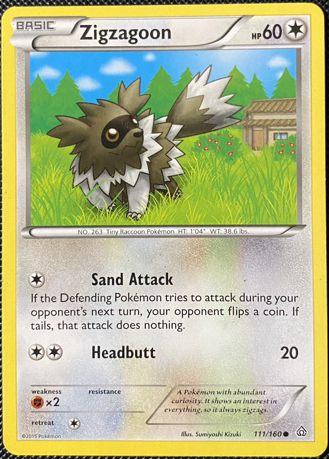 Zigzagoon 111/160 XY - Primal Clash Regular - Pokémon Card