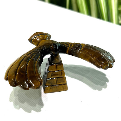 3''Natural tiger's eye Quartz Hand Carved Balance eagleskull Crystal Healing 1pc