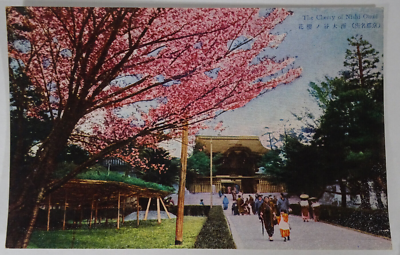 1918-33 Japanese Postcard The Cherry Trees Of Nishi Otani Kyoto