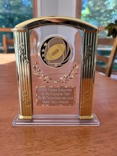Football or any SPORT 7" Acrylic Award Trophy FREE custom engraving