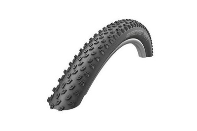 SCHWALBE TIRE RACING RAY PERFORMANCE TUBLESS