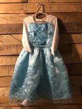 Elsa Frozen Dress Little Girl  3/4 