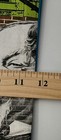 Picture 14 of 14