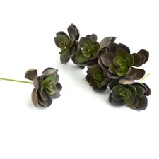 Factory Direct Craft Purplish Green Artificial Hen and Chick Picks | 6 Piec