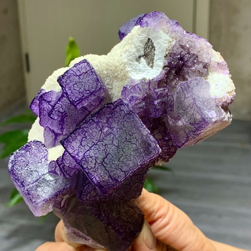 1,27 Pfund natürliches lila "QR-Code" Fluorit Cluster Kristall Mineral Probe/Guizhou - Bild 17 von 20