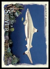 2021 Topps Allen & Ginter #DSS-8 Blacktip Shark Deep Sea Shiver