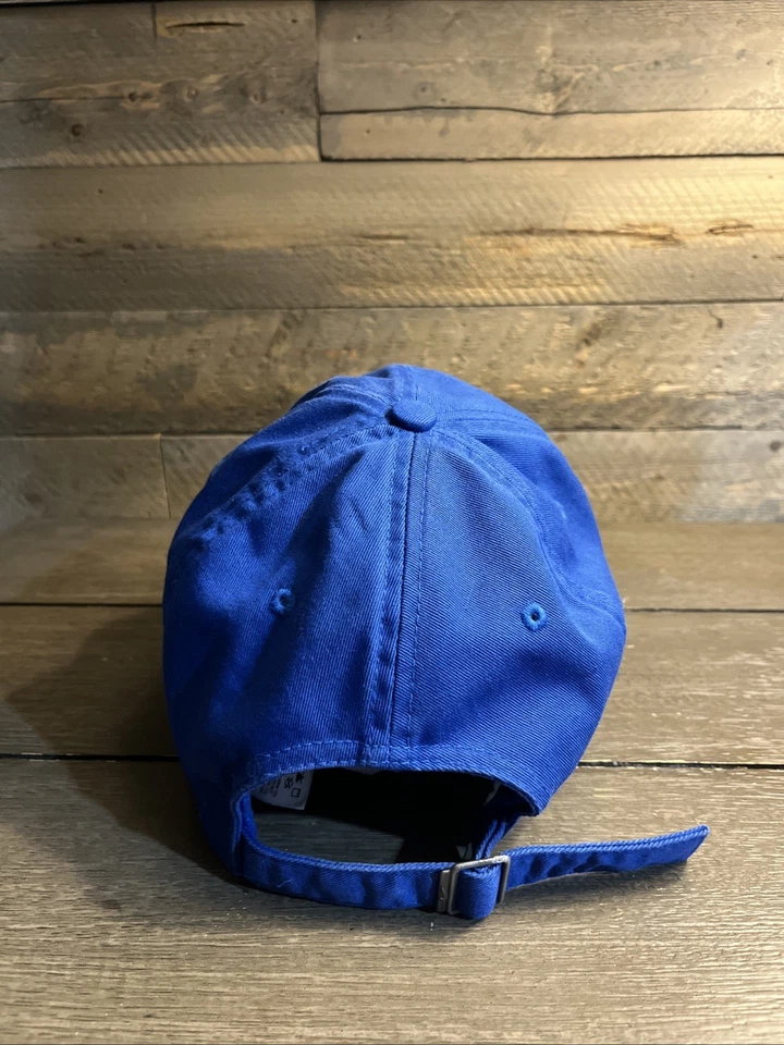 Gorra Bank of America Chicago Marathon Nike Running Papá Azul OSFM Foto 3 de 4