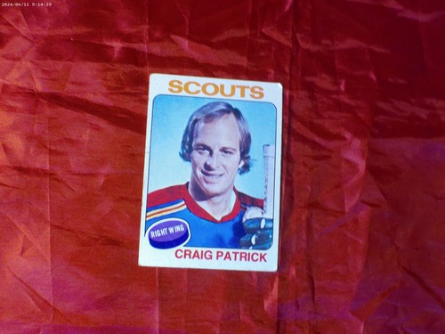 Craig Patrick #178 1975 Topps card