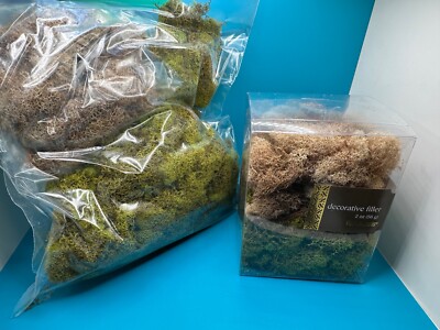 Pier One Imports Artificial Decorative Moss Filler - Green & Brown - Made USA