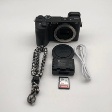 Sony Alpha A6600 Mirrorless Camera Body