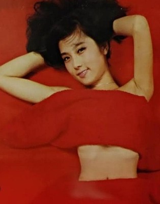 Reiko Oharain The Image 31 Extra Large A4 Laminate Showa Neat    