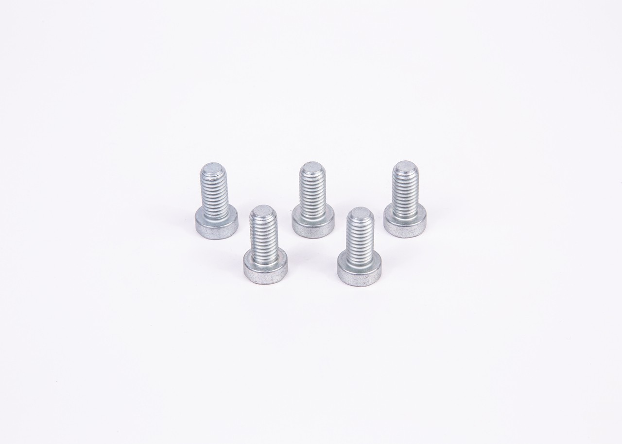 BOSCH-OE F 01M 100 684-OE Screw