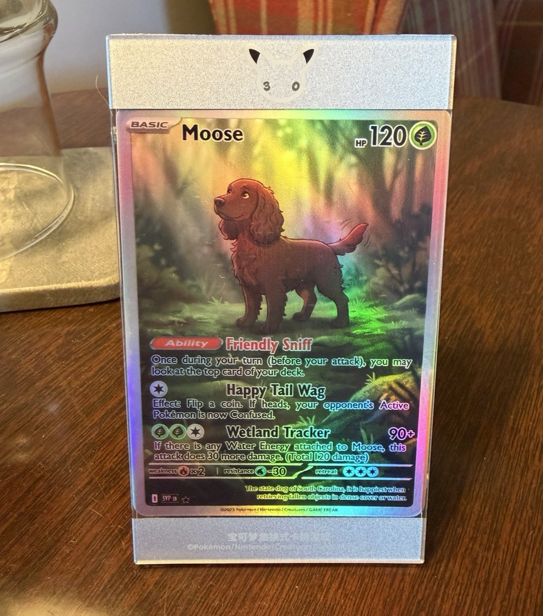 Pokemon TCG Chinese 30th Anniversary Magnetic/Stand Card Case