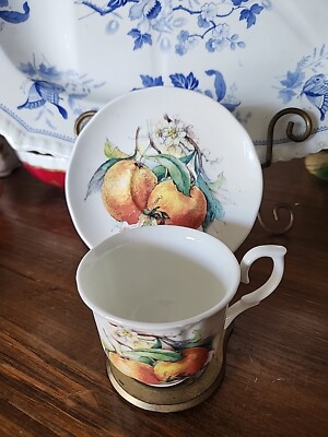 Royal Victorian Fine Bone China Teacup & Saucer Peach Fruit Signed  England 