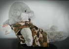 Picture 5 of 9