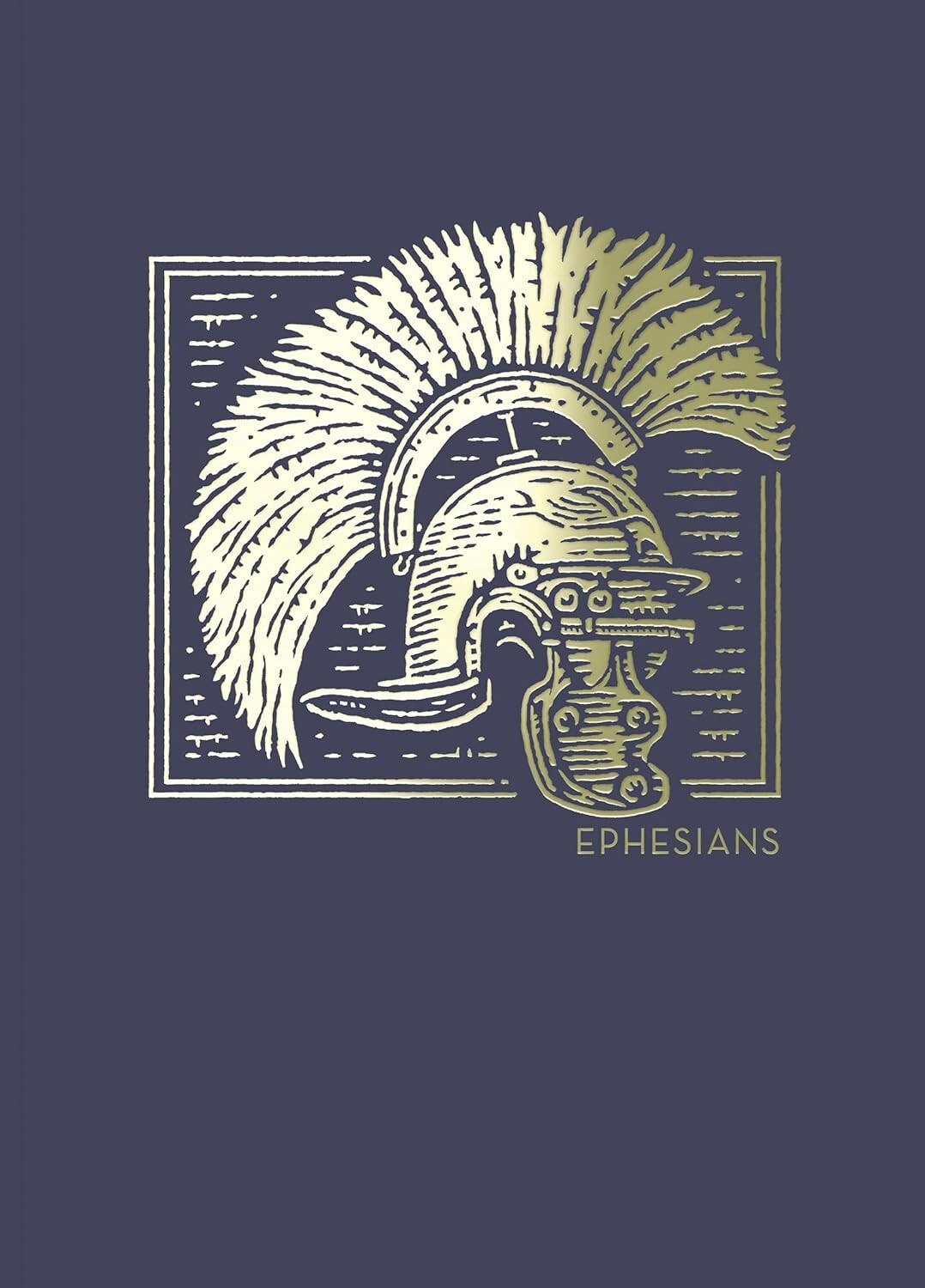 Ephesians Bible Journal NET Abide Comfort Print: Holy Bible Paperback