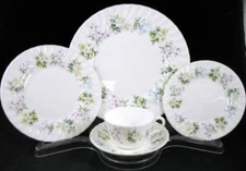 Minton Spring Valley Five Piece Place Setting