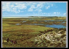 Cartolina Texel - Olanda