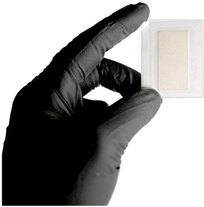 Cheating Kit Semen Detection Test Strips Infidelity Test Kit 5 Pack, New
