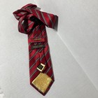 Foto 3 di 4