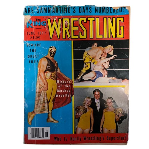CHOOSE: Vintage Wrestling Magazines 1970s - 1990s WWF Hulk Hogan Billy Graham - Imagen 15 de 63