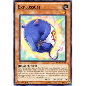 Explossum - SECE-EN094 - Common - 1st Edition x3 - Near Mint