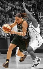 CS139 Sue Bird Seattle Storm WNBA Basketball 8x10 11x14 16x20 Spotlight Photo