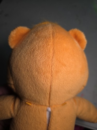 2004 Tenderheart Bear Care Bears sprechendes Plüschtier orange funktioniert 11,5 Zoll - Bild 13 von 19