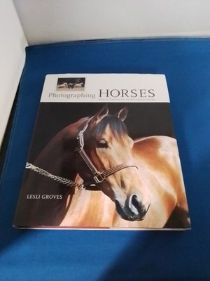 Photographing Horses How To Capture The Perfect Equine Image Groves