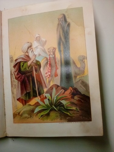 1890er Buch 1001 Nacht von Lauckhard Hofmann, Deutsches Geschichtenbuch - Bild 10 von 11
