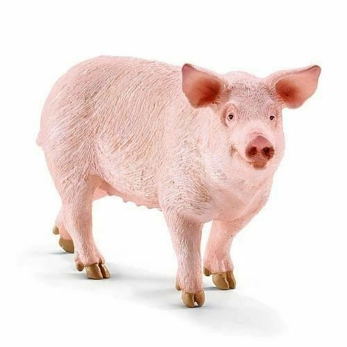 Pig Collectables