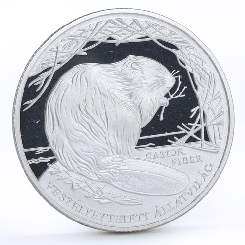 Hungary 3000 forint Endangered Wildlife series Beaver proof silver coin 2000 - Picture 3 of 6
