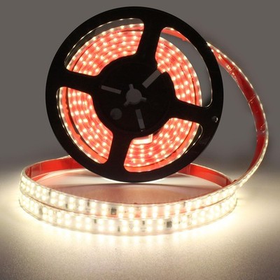 Lights 6.56FT AC 110V Outdoor Lights Waterproof 240LEDs/m 4000K Strong Adhesi...