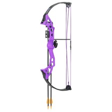 Bear Archery Brave RH Purple Youth Compound Bow Set (AYS300PL): NEW, Free Ship